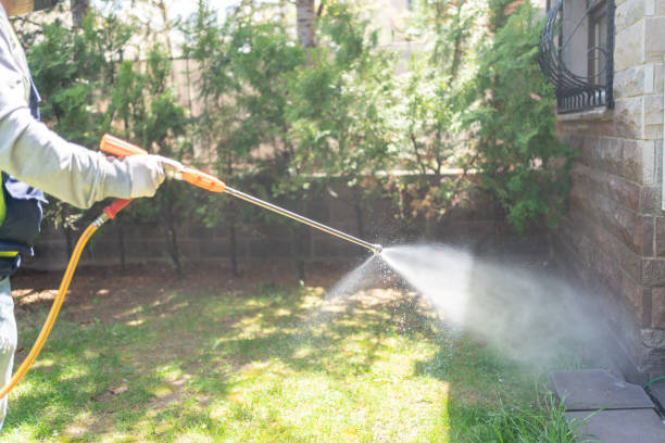 Best Pest Exclusion Services  in Flagtown, NJ